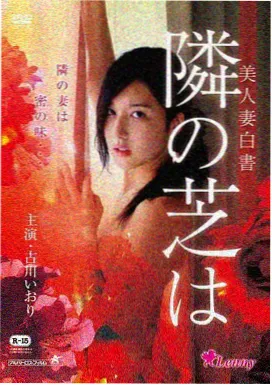 花样年华 王家卫电影
